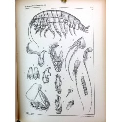 The Norwegian North polar expedition (6 vol. set)